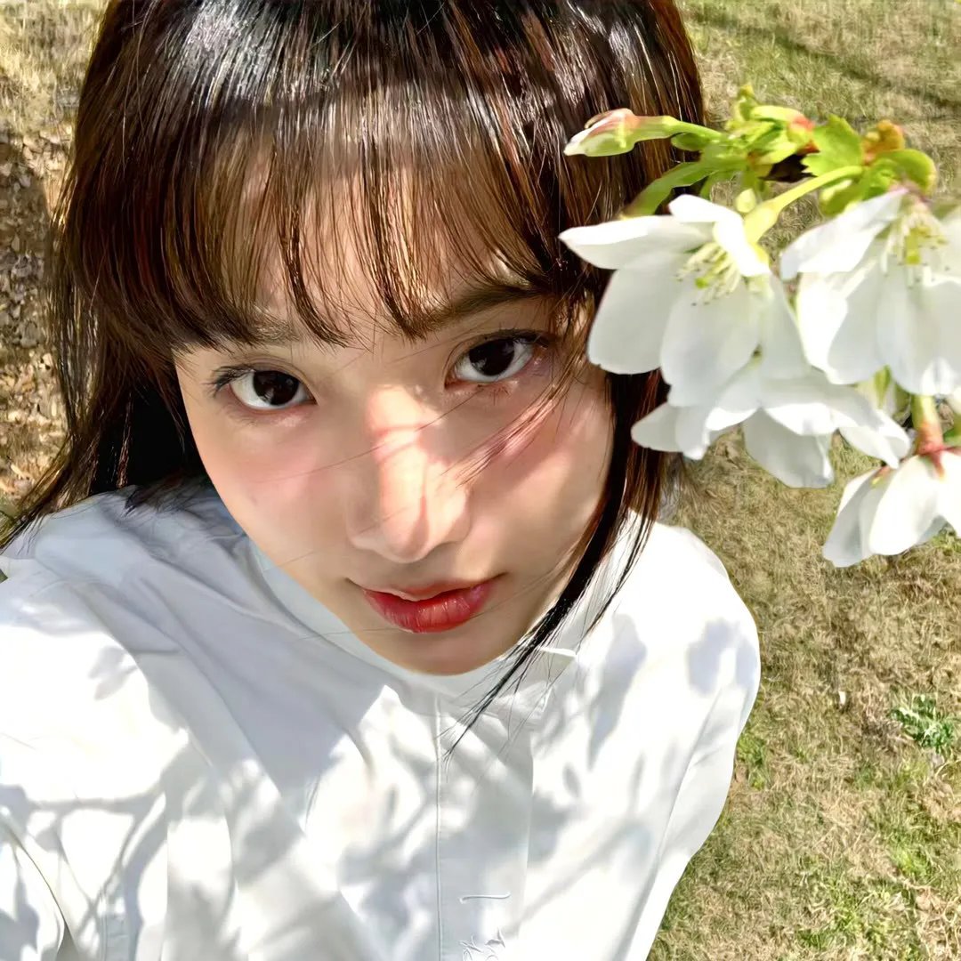 廉政行动2016粤语